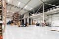 Orion Automotive